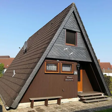 Seestern * Carolinensiel